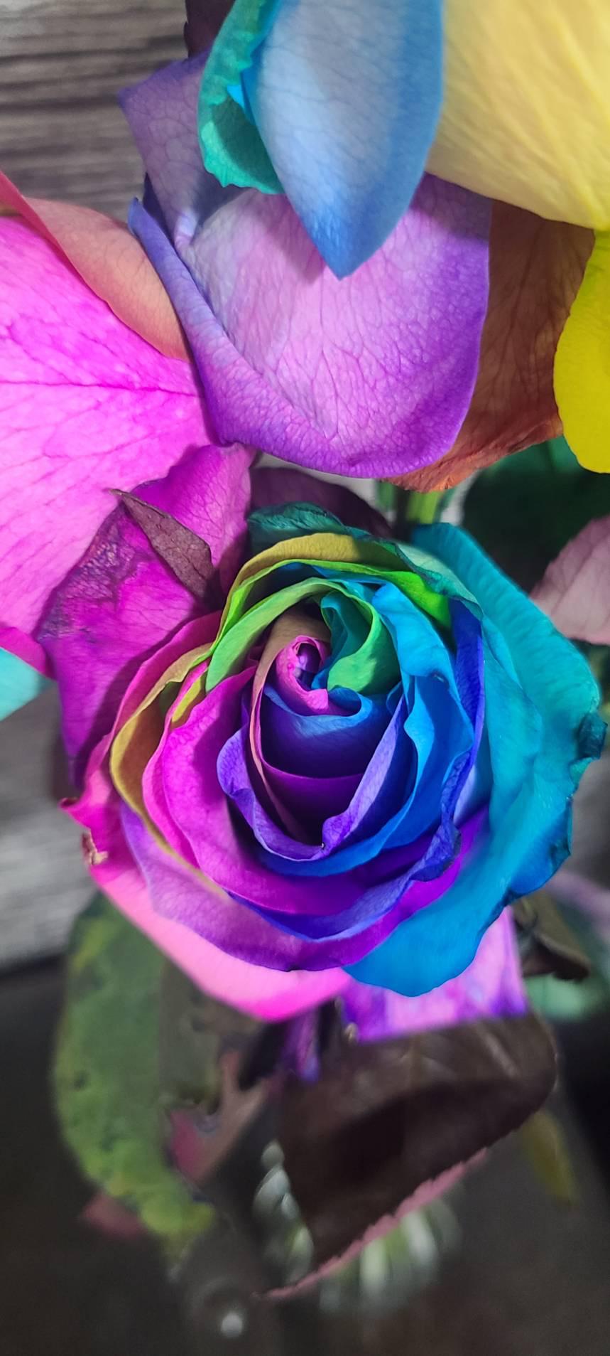 ラジオ波💓腸活