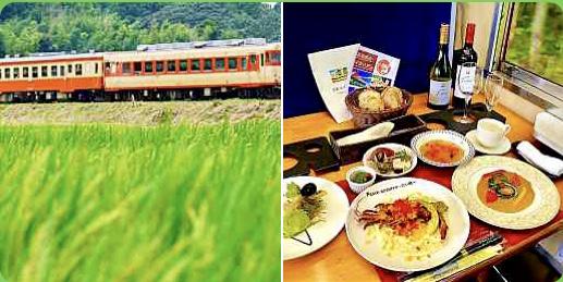 千葉　いすみ　🌱