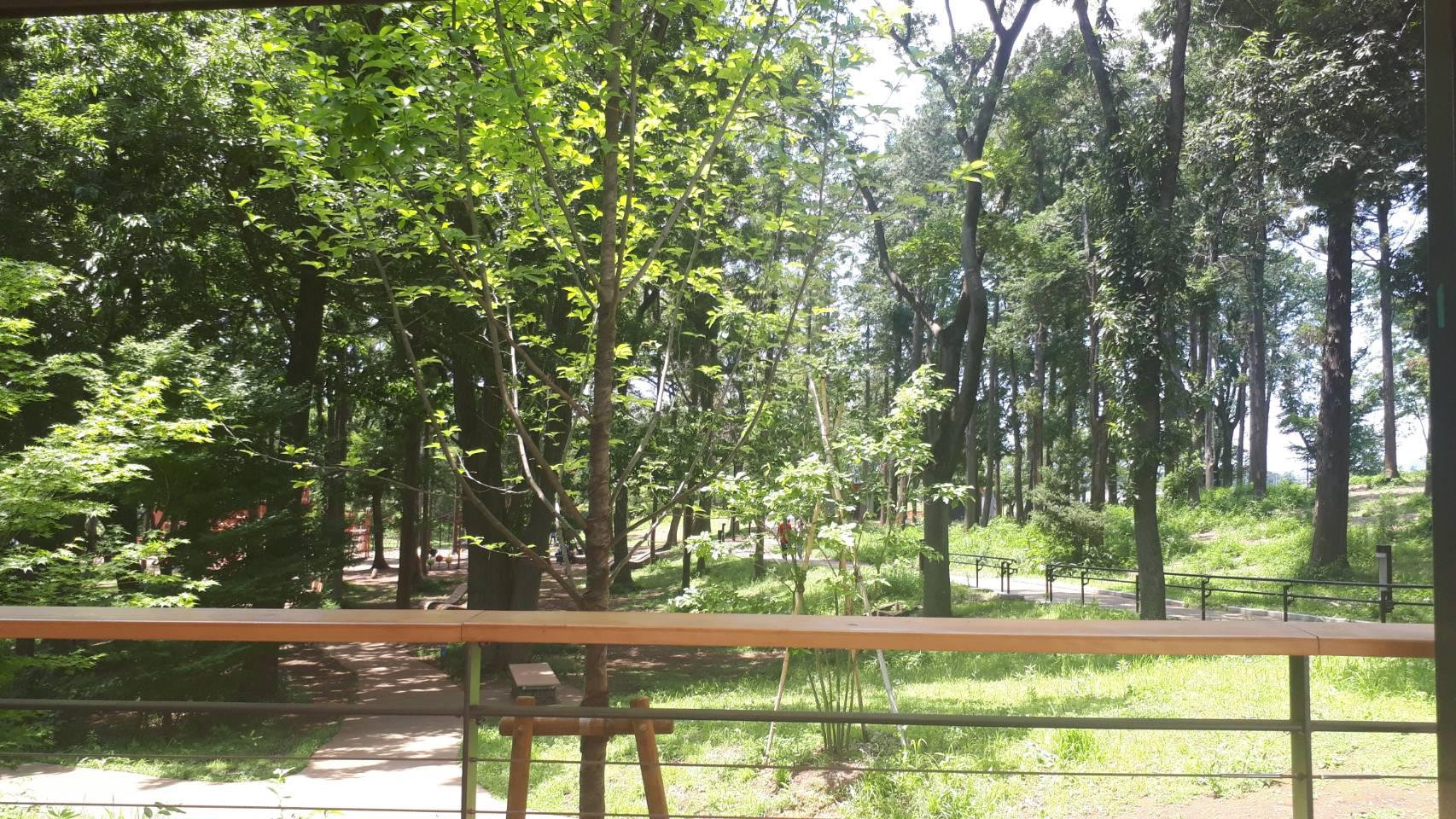 マイナスイオン