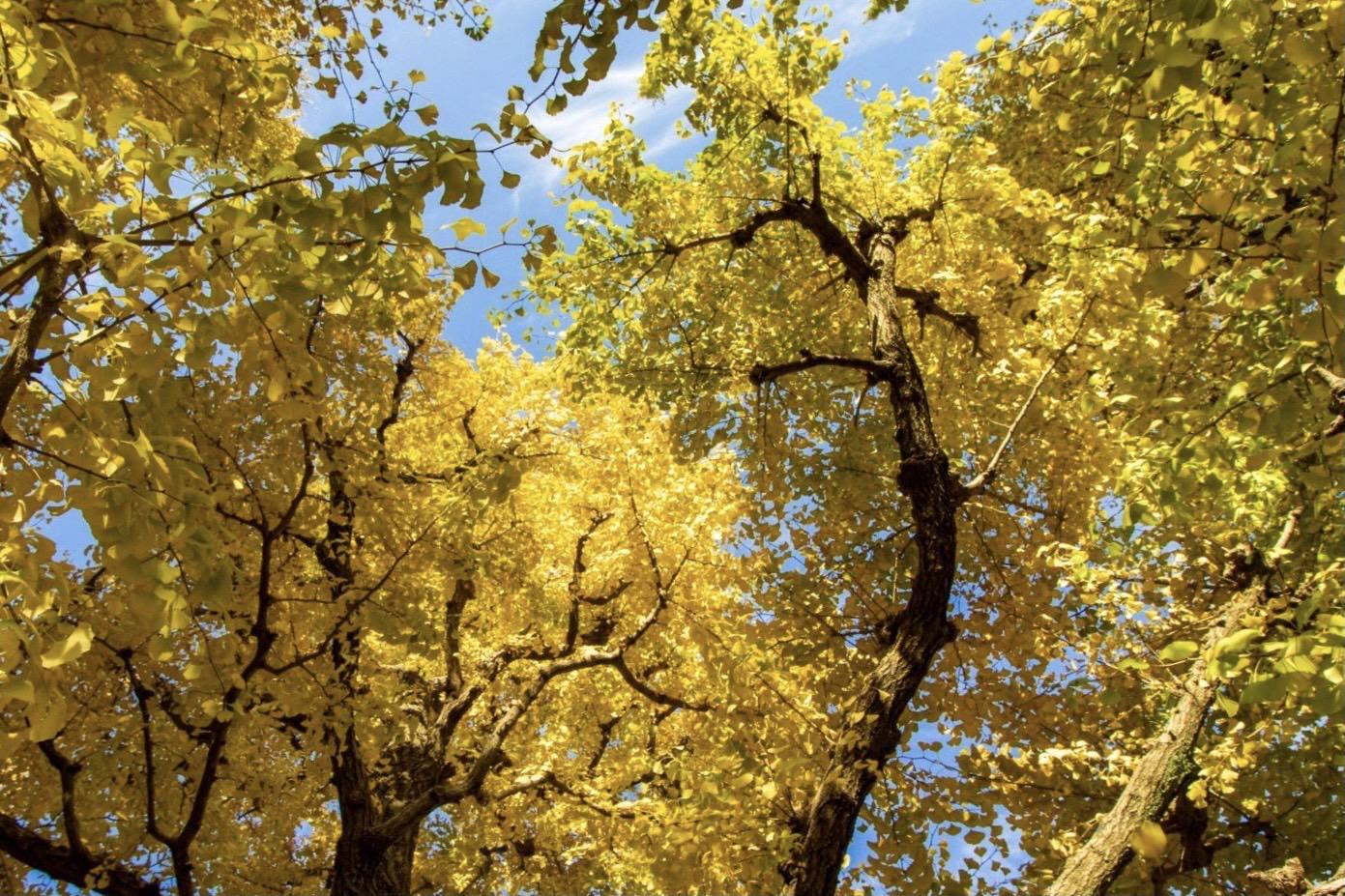 ♨️あったかアイテム