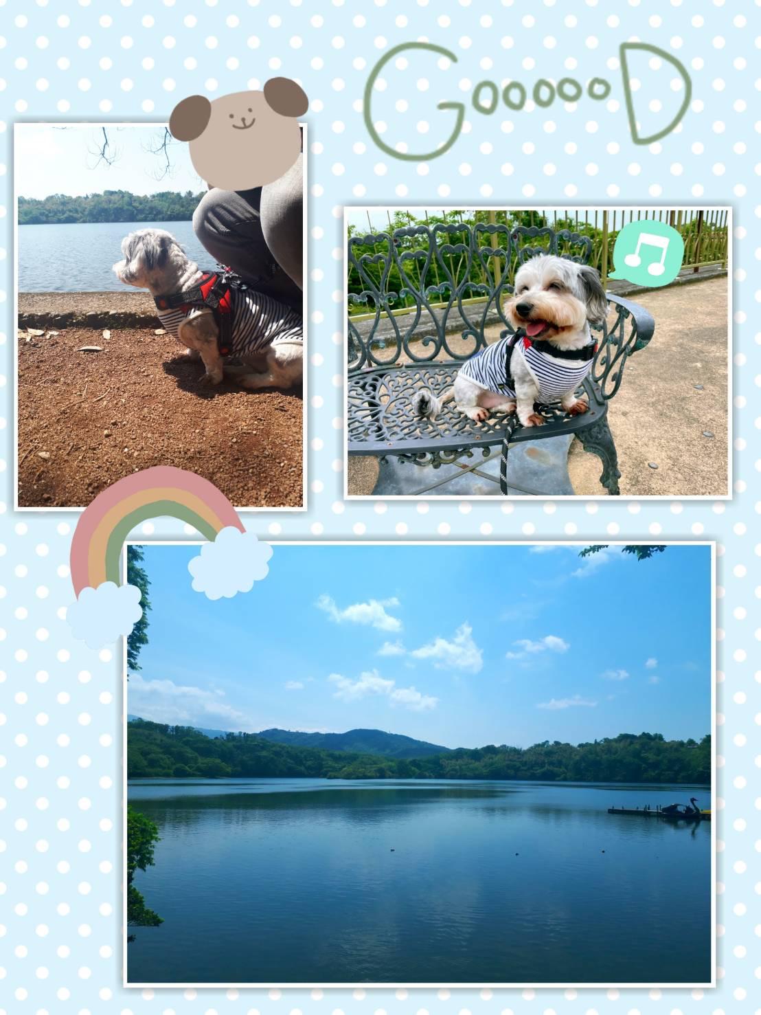 ♡UV クリームのご紹介♡