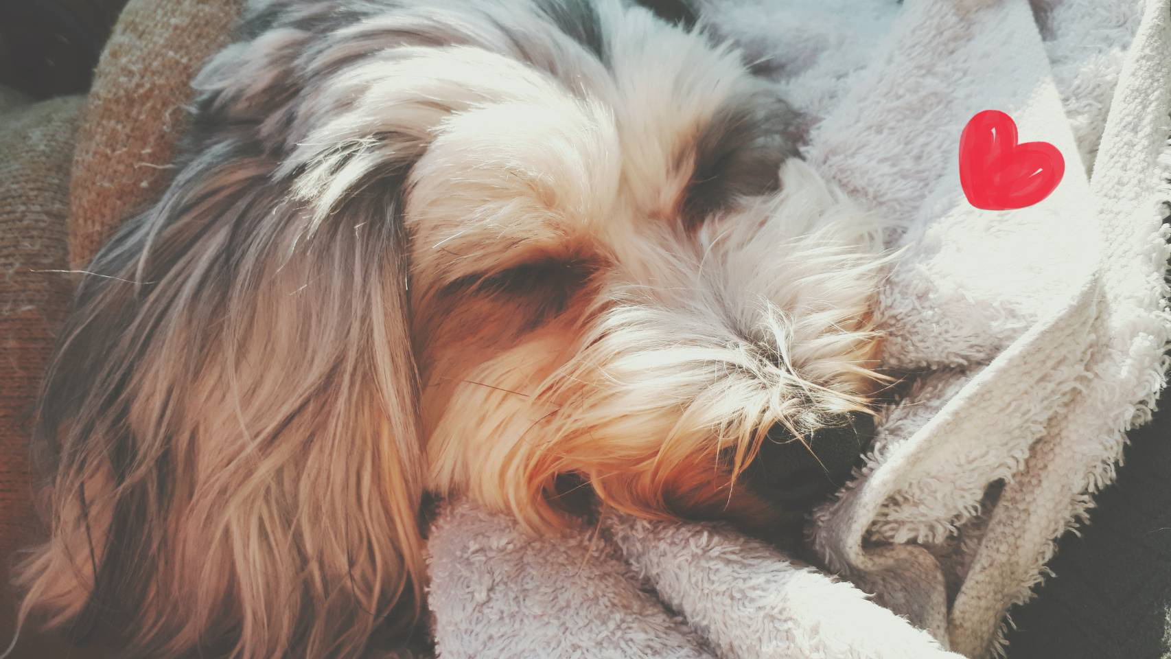 スッキリボディで夏へ