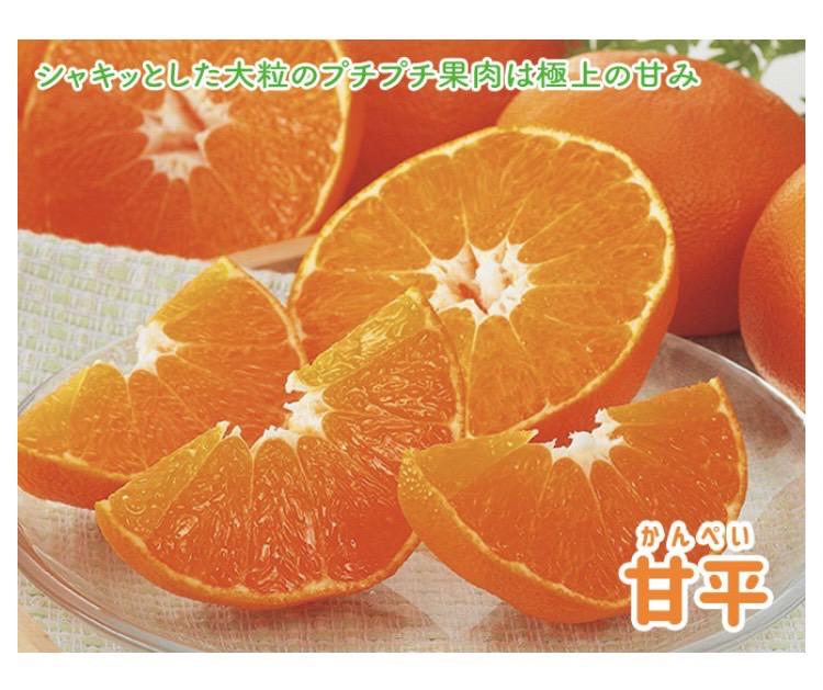 お取り寄せ🍊